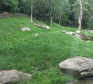 Tierpark Hellabrunn - Polarwelt