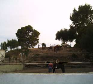 Restaurante Rancho la Romana