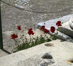 Marmorstrasse in Ephesos