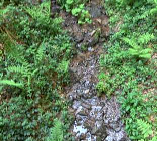 Teufelskanzelsteig Bad Griesbach