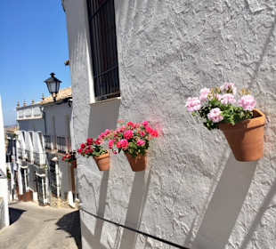 Wandern Zahara De La Sierra