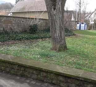 Friedhof Frickenhausen