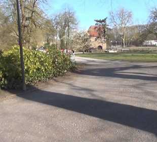 Botanischer Garten - Rombergpark