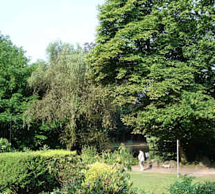 Blick von der Terrasse in den Park