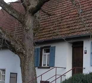 Bauernhausmuseum Ödenwaldstetten