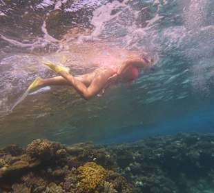 Einmalie Erlebnisse mit Mo´s Delfinen