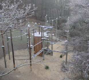 Baumwipfelpfad-unter,Märchenwalf