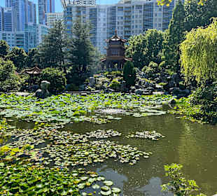 Impressionen aus dem chinesischen Garten