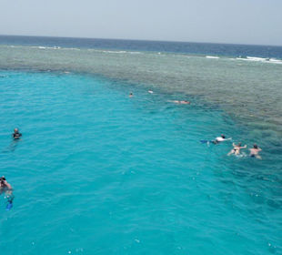 Schnorcheln in der Gruppe