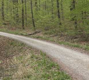 Wanderweg Firstwaldrunde