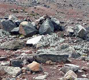 Wandern am Chimborazo