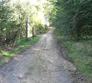 Der Bussen - heiliger Berg Oberschwabens Offingen