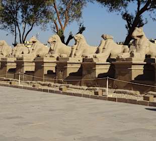 Tagesausflug nach Luxor ab Makadi Bay