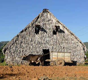 Postkartenmotive unterwegs