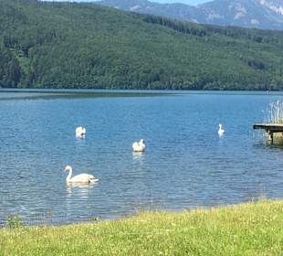 Wandern Bad Kleinkirchheim