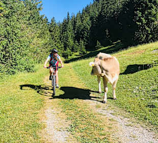 Wandern Füssen