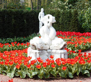 Blumenpracht im Keukenhof