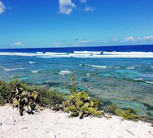 Ausblick aufs Meer von Light House