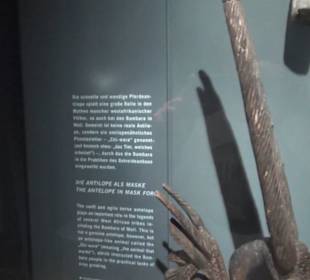 Schloss Lichtenwalde