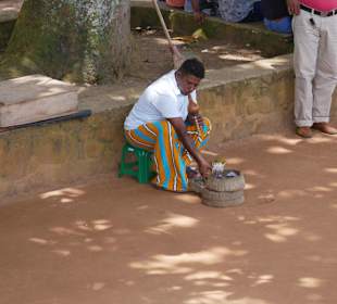 Galle Schlangenbeschwörer