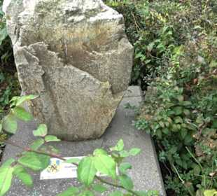 Uferpromenade Friedrichshafen