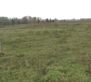 Naturschutzgebiet Listhof