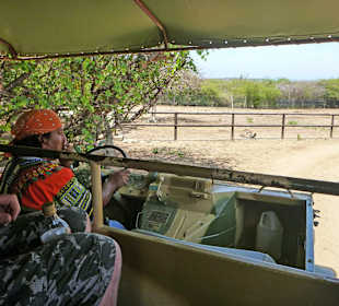 Straußenfarm: Im Toruistenmobil