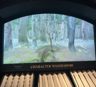 Harry Potter New York Store