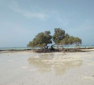 El Qulaan Lagoon