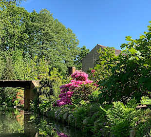 Kahnfahrten und Paddelboote Kleiner Spreewaldhafen