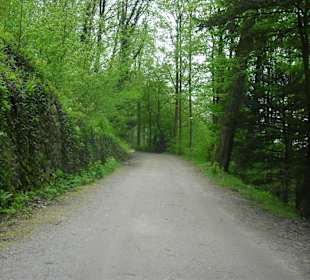 Wandern auf dem Schlossberg in Freiburg