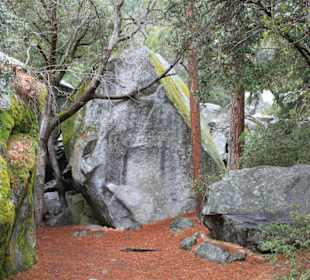 Yosemite Nationalpark