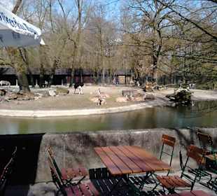 Tierpark Hellabrunn in München