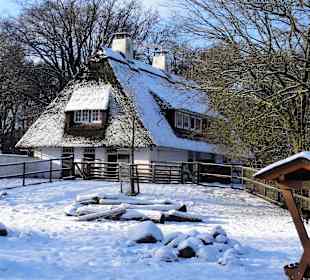 Das Tiergehege des Bürgerparks im Winter