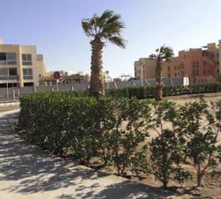 Stadtrundgang El Gouna
