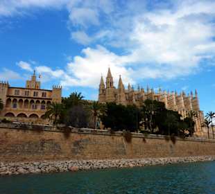 Palma