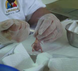 Wo ist Dr. Matthias Reinschmidt?