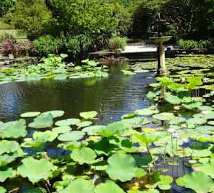 Stadtrundgang Sydney