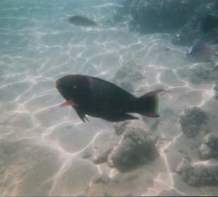 Mare di fronte all'hotel