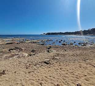 Ses Covetes in Sa Rapita