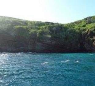 Schnorcheln am Coin de Mire