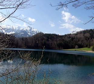 Alatsee