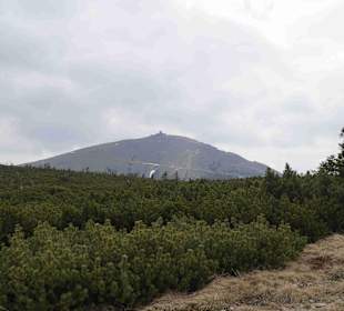 Berg Schneekoppe/Śnieżka
