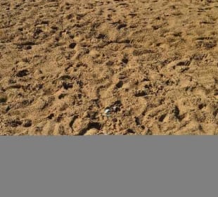 Unrat am Strand