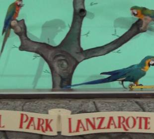 Guinitate Tropical Park