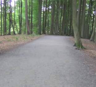 Nationalpark Jasmund