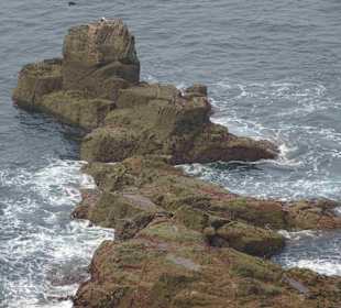 Minack Open Air Theatre