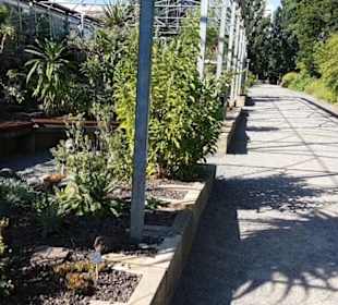 Botanischer Garten 
