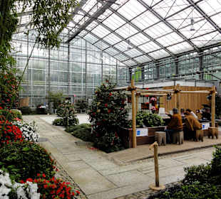 Zentraler Punkt: Das Koi-Aquarium