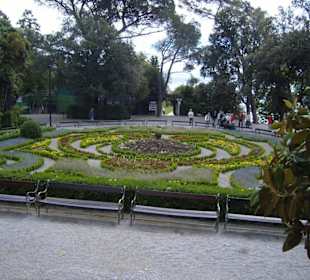Diesen Garten muss man gesehen haben !